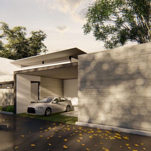 Concrete Wall House